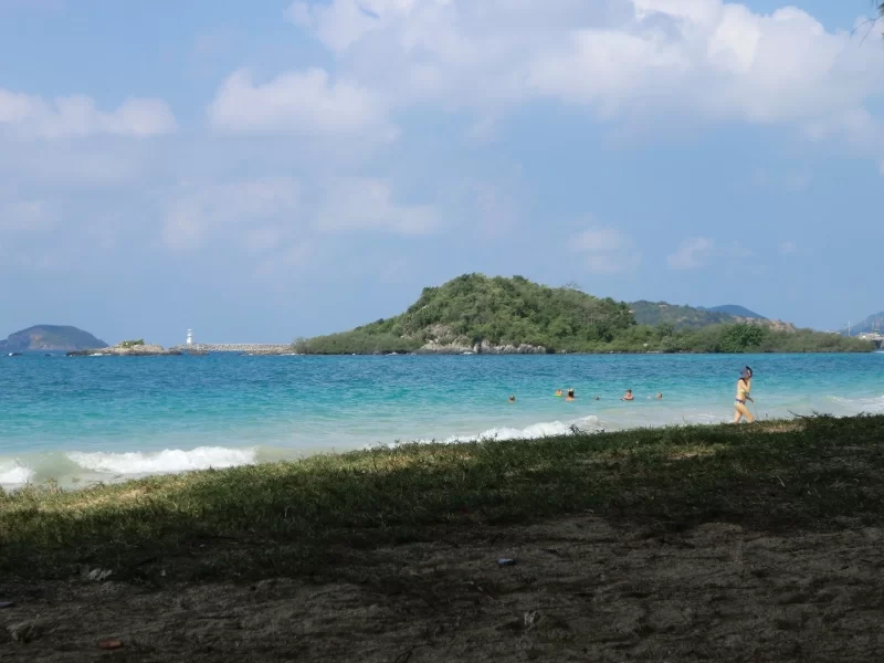 CIMG3210_cut_small.webp CIMG3210_cut_small.webp
