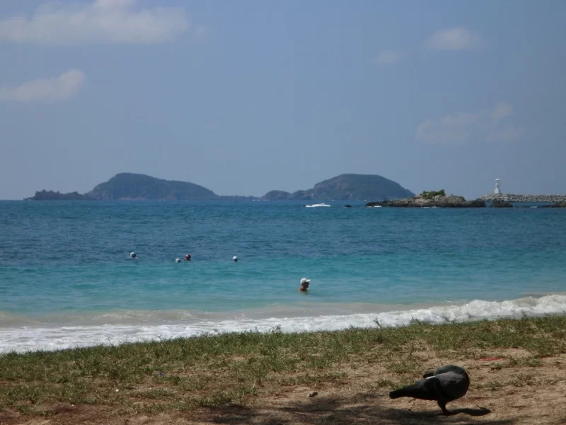 CIMG3213_cut_small.webp CIMG3213_cut_small.webp