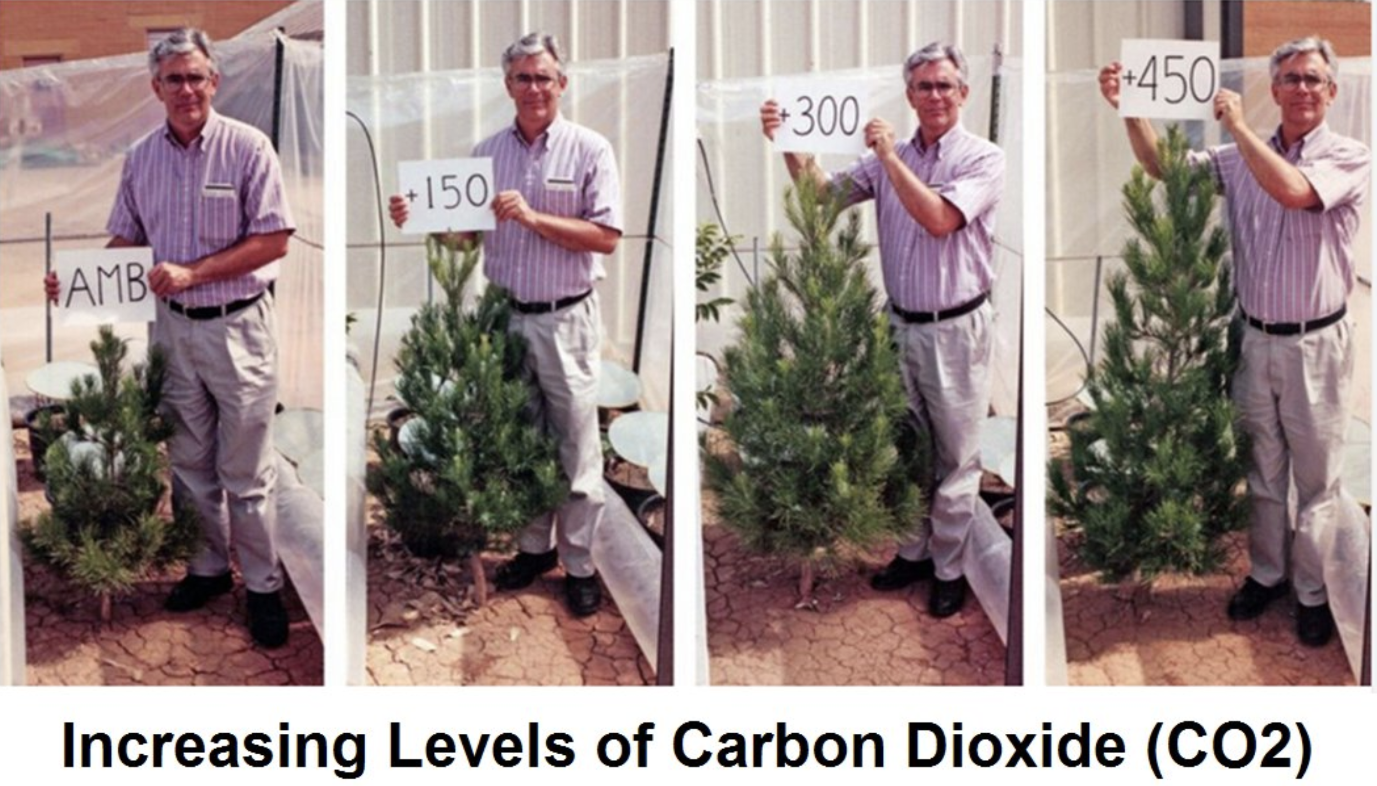 CO2.png