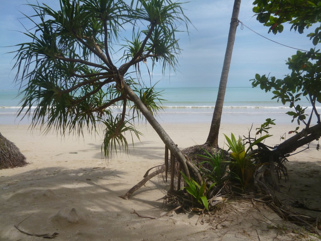 coconutbeach.JPG