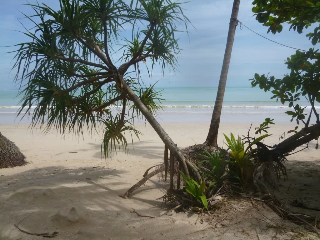 coconutbeach.webp