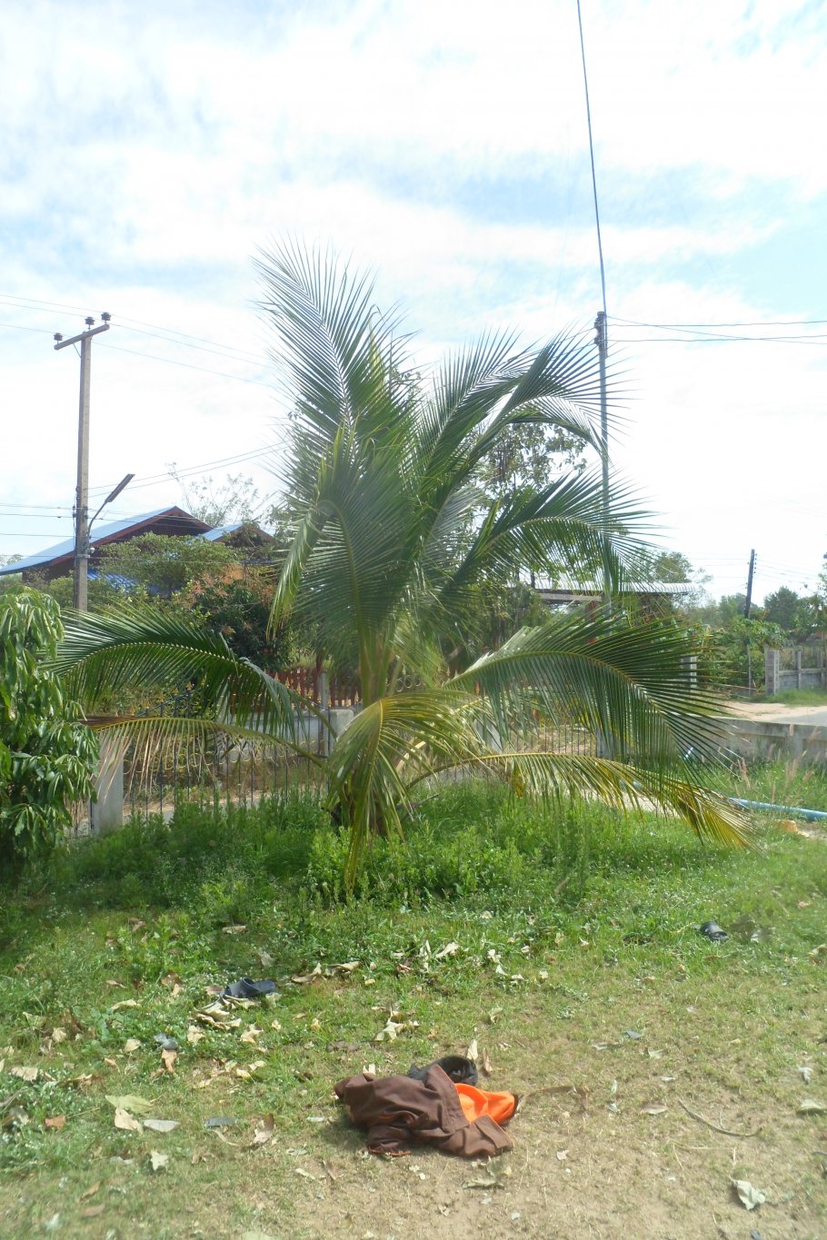 Cocos 013.JPG