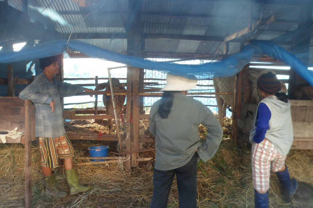 Cocos 077.JPG