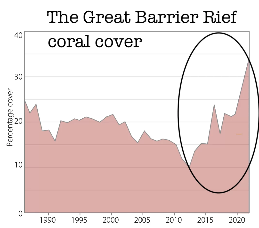 coral cover.webp