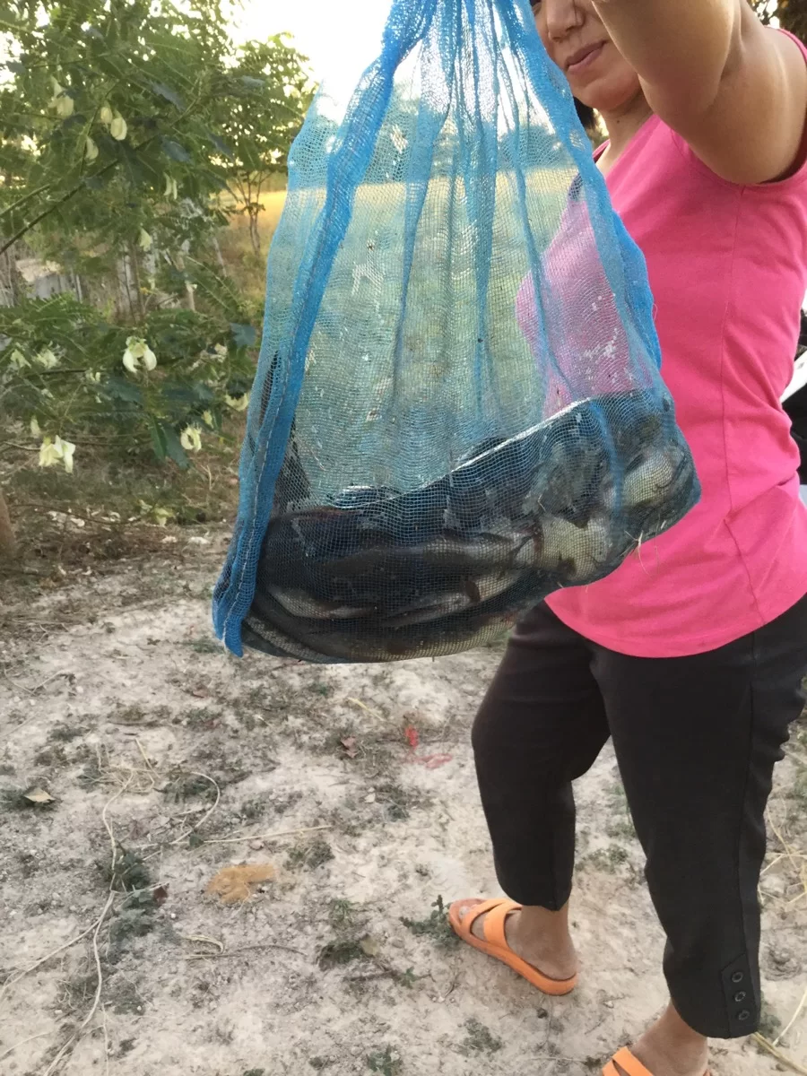 Dagens skörd i mjärden.webp