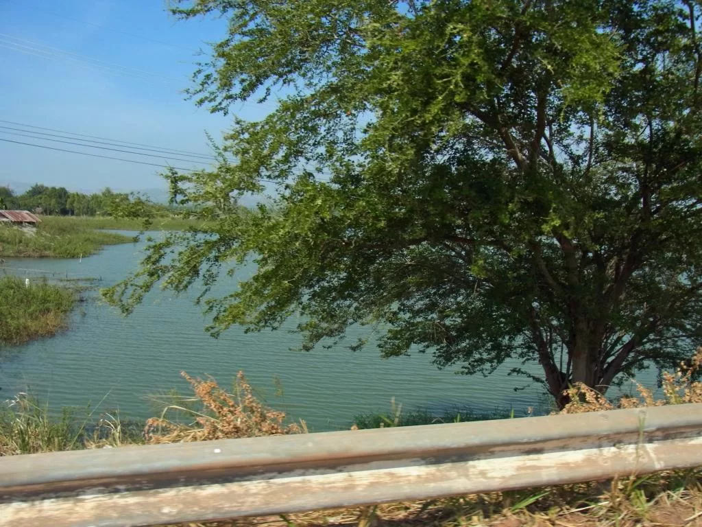 December 2011 153.webp