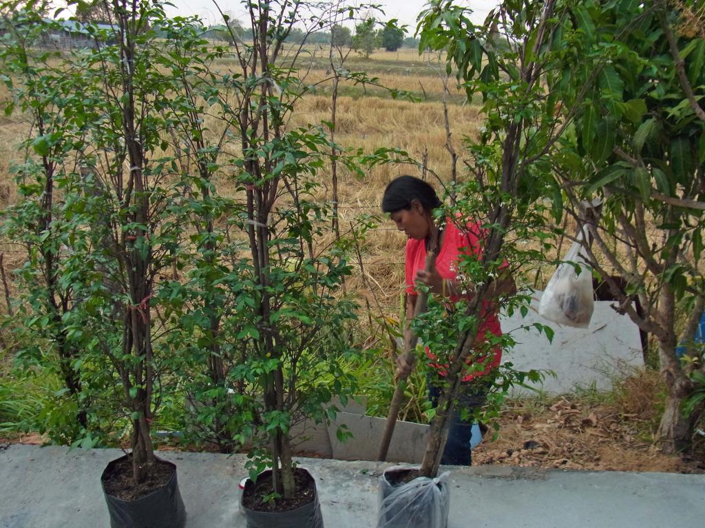 December 2011 253.jpg