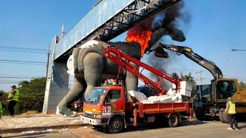 dino.jpg