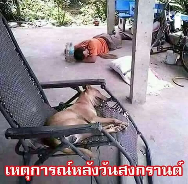 Dog vs. Man.webp