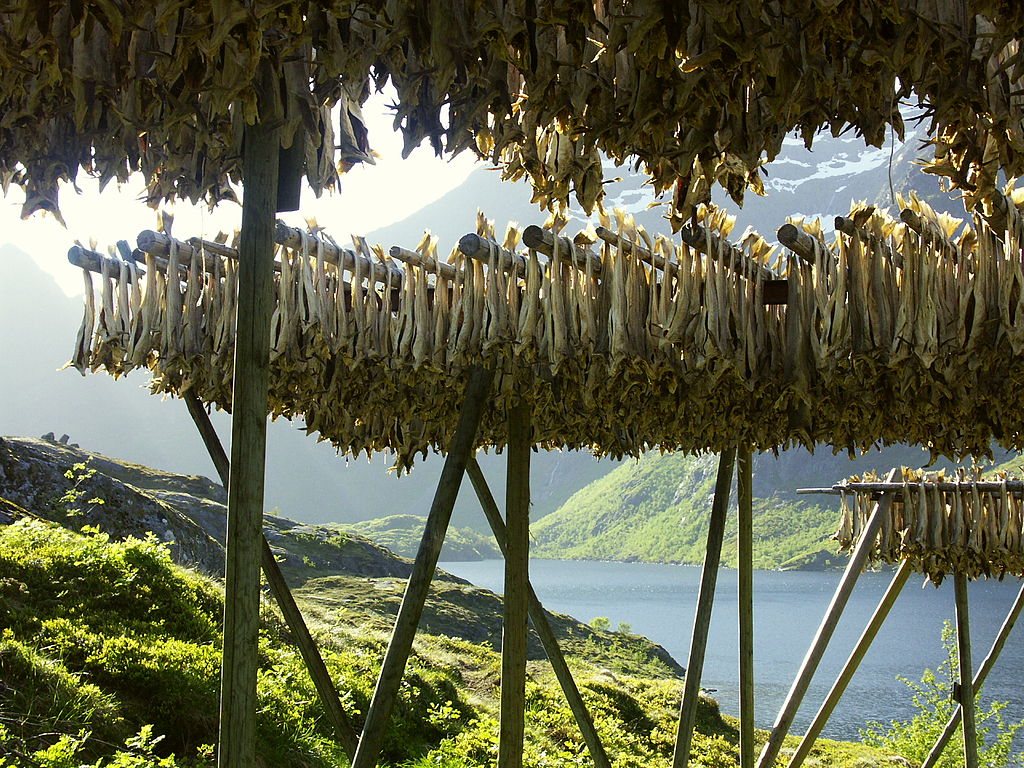 Drying_cod_in_Å,_Lofoten_Islands.jpg