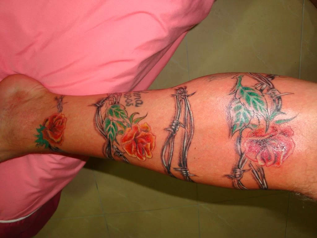 DSC00061.webp