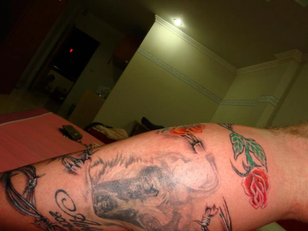 DSC00062.webp