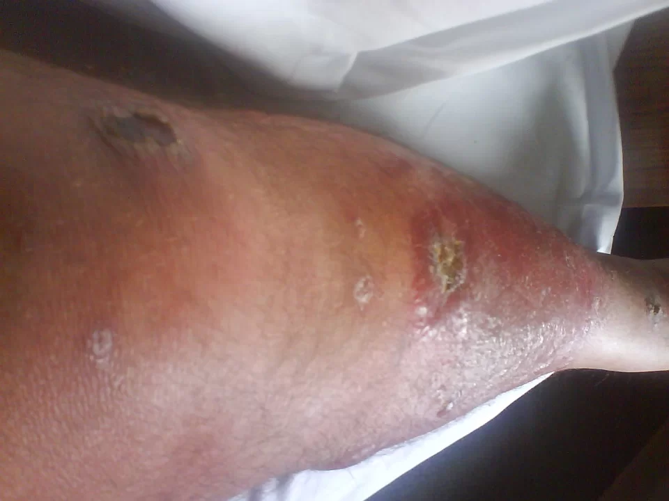 DSC00073.webp