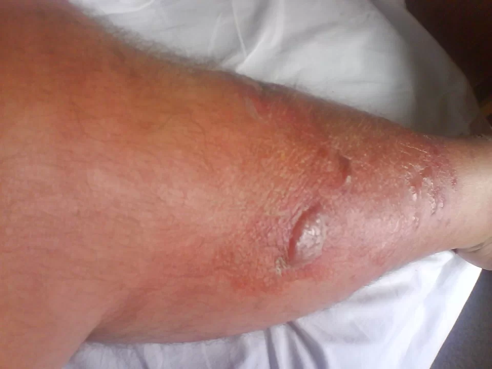 DSC00074.webp