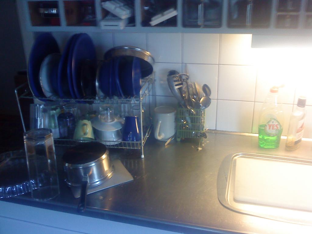 DSC00245.jpg