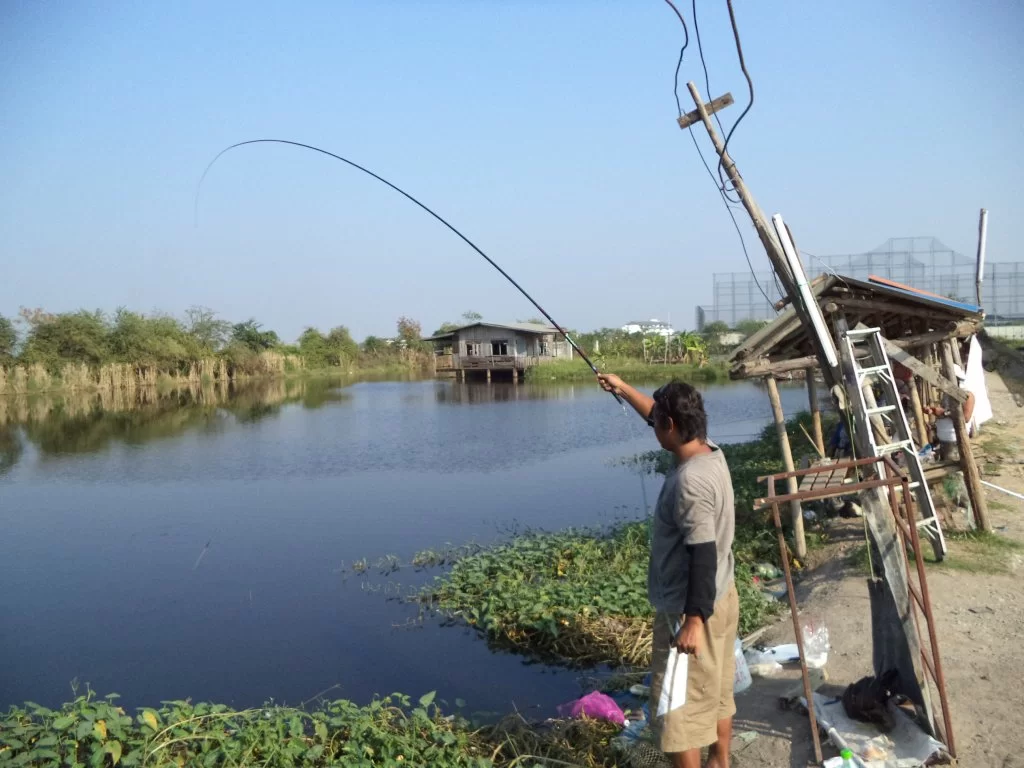DSC00304.webp