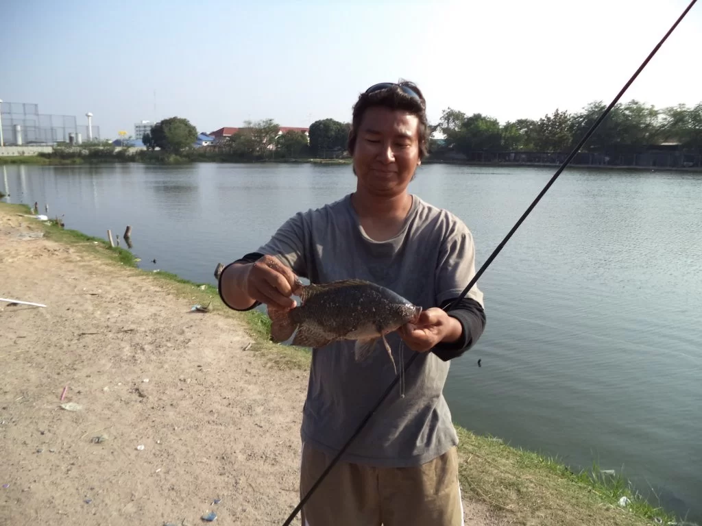 DSC00307.webp