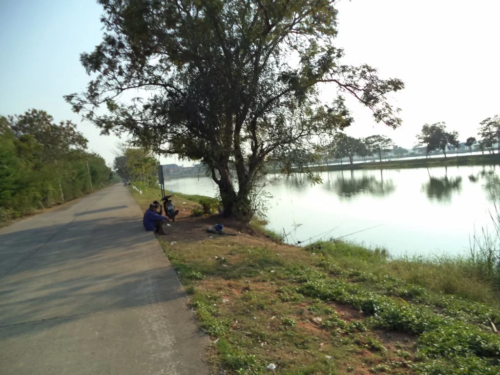 DSC00326.webp