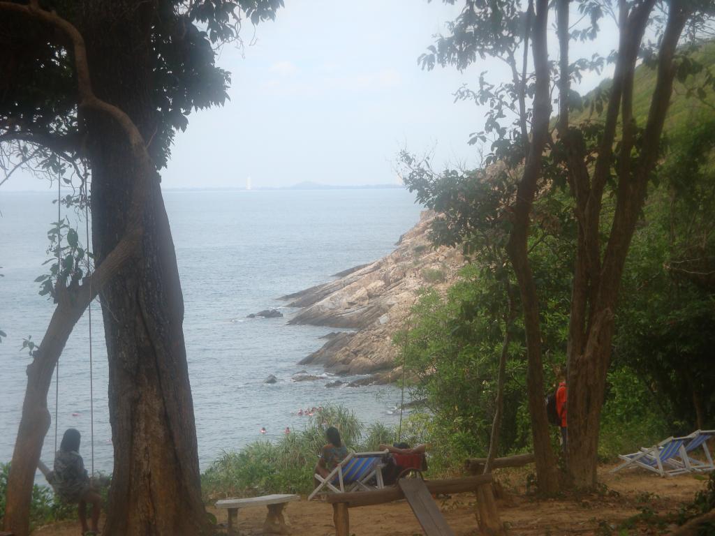 DSC00358.jpg