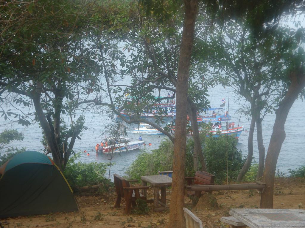 DSC00359.jpg