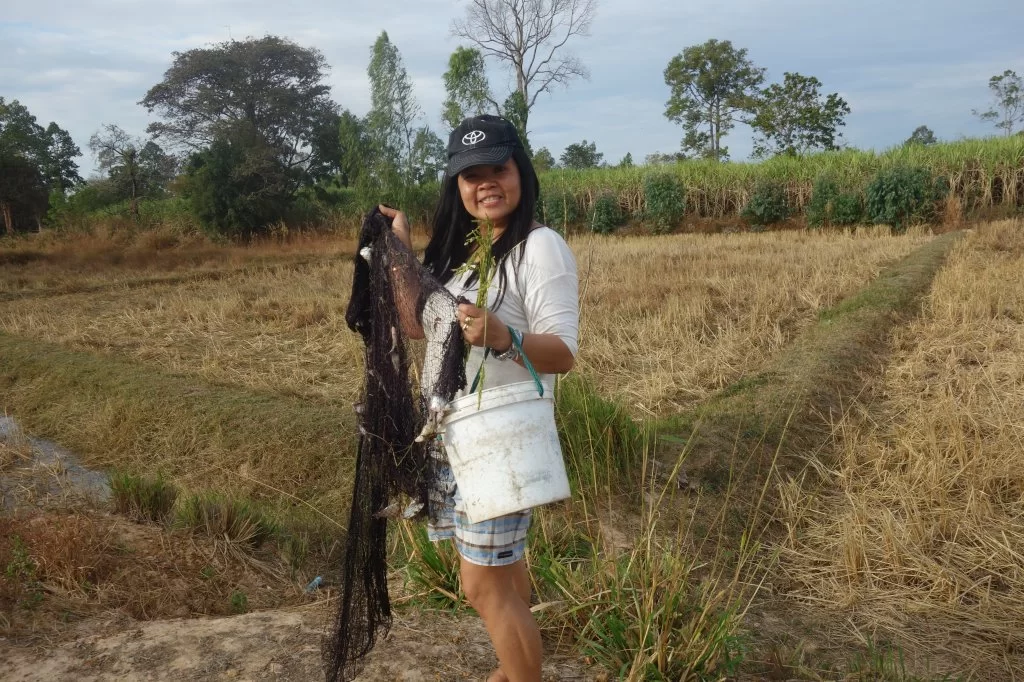 DSC01835.webp