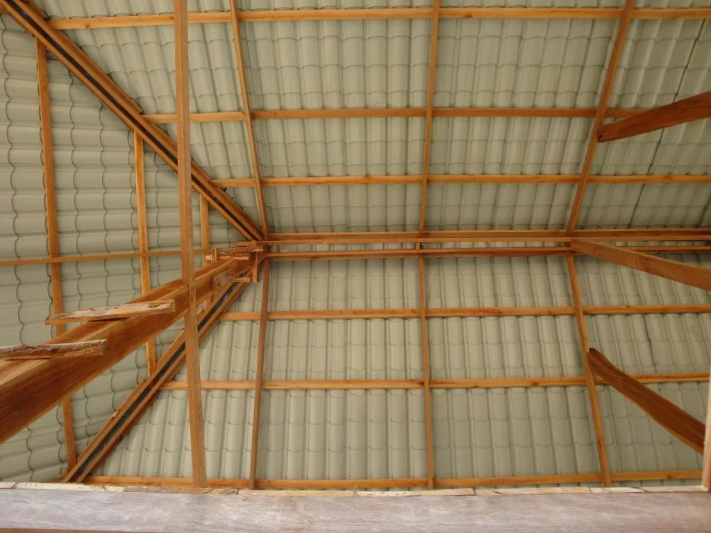 DSC02672.webp