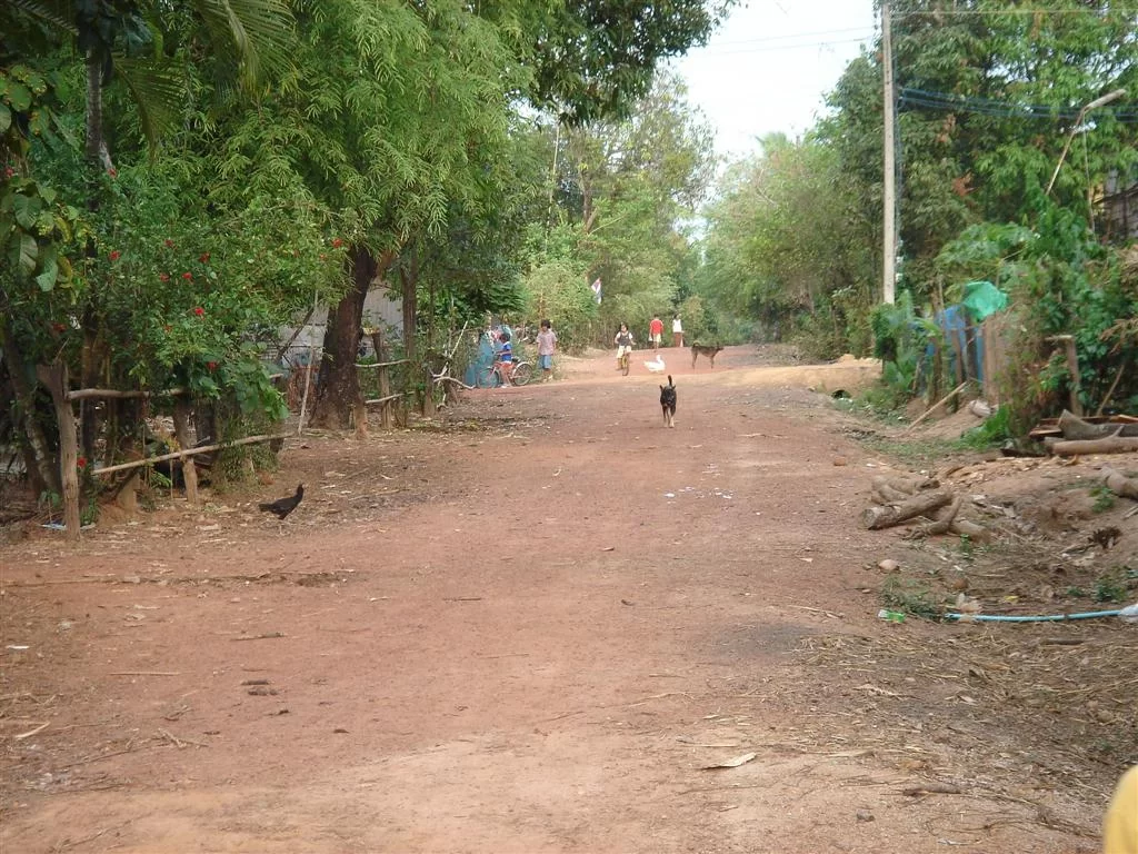 DSC04525 (Large).webp