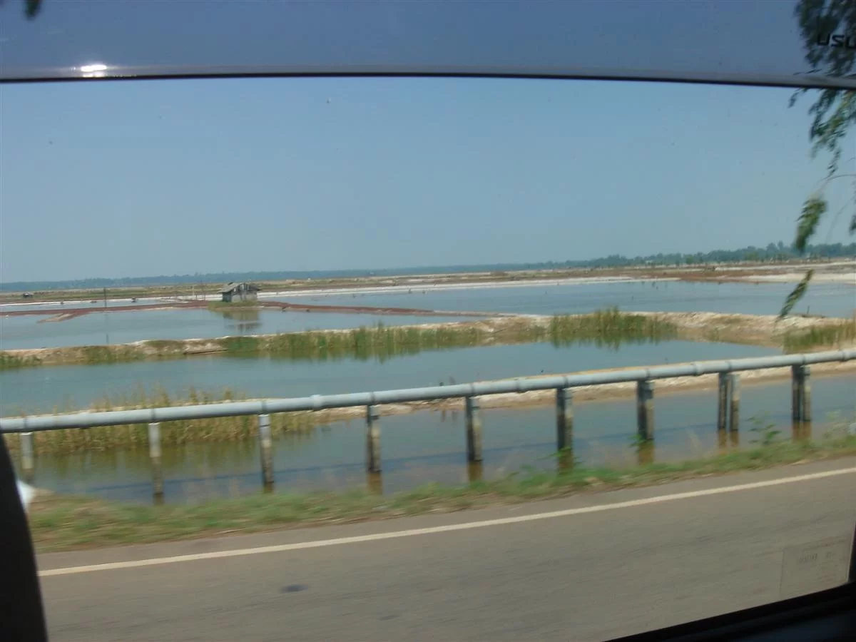 DSC04862 (Custom).webp