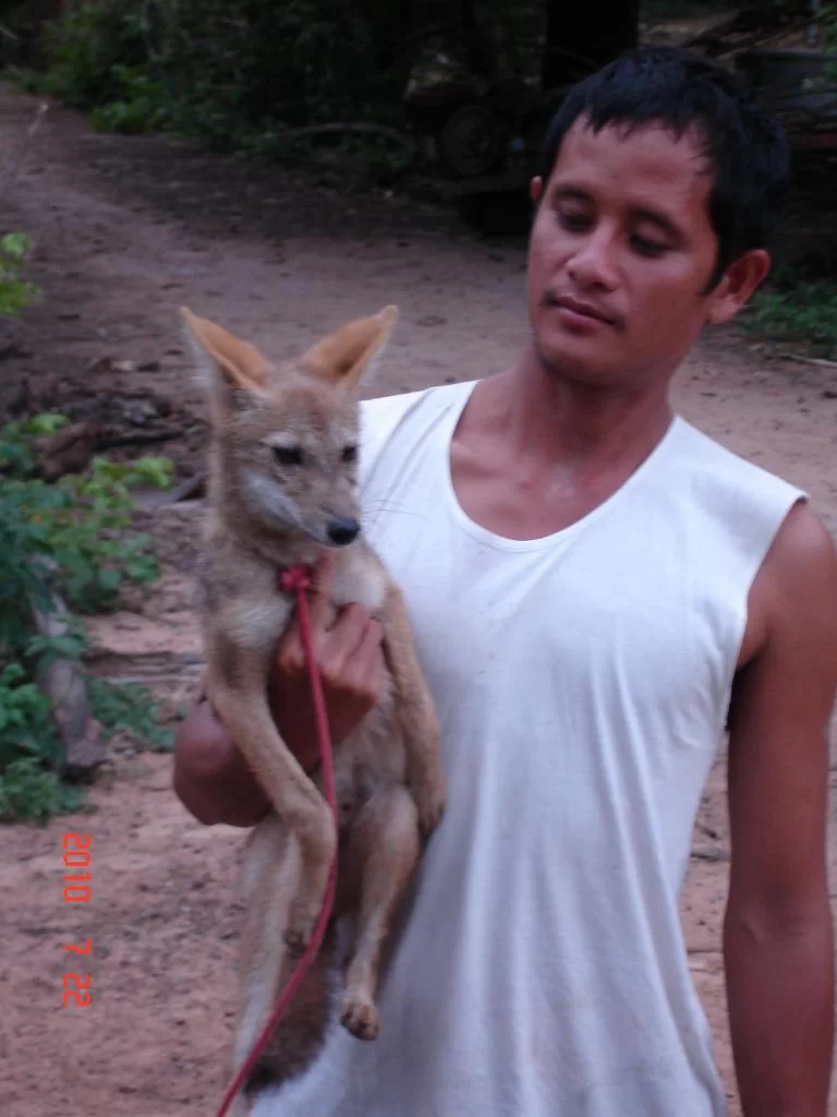 DSC05039.webp