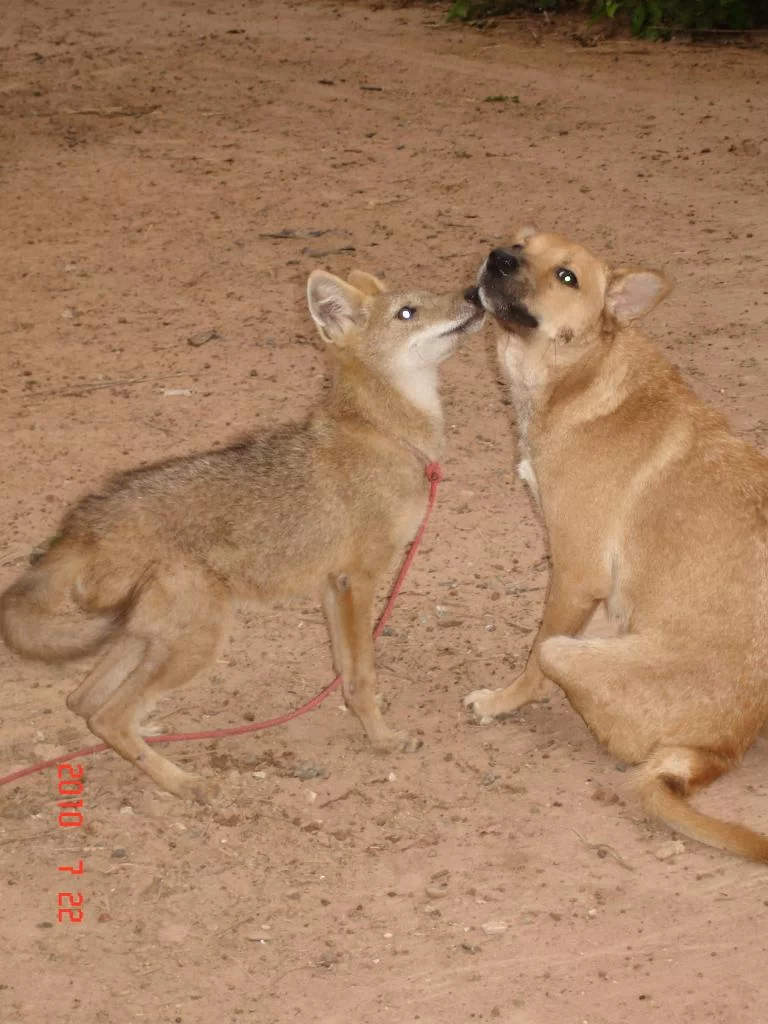 DSC05047.webp