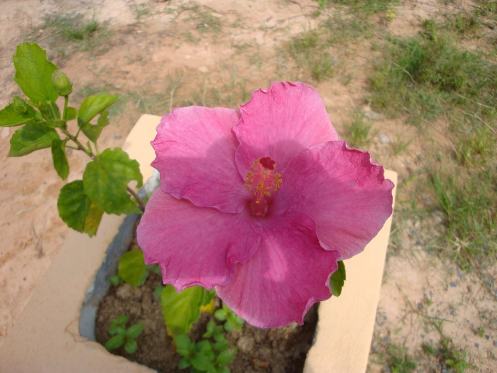 DSC05409.jpg