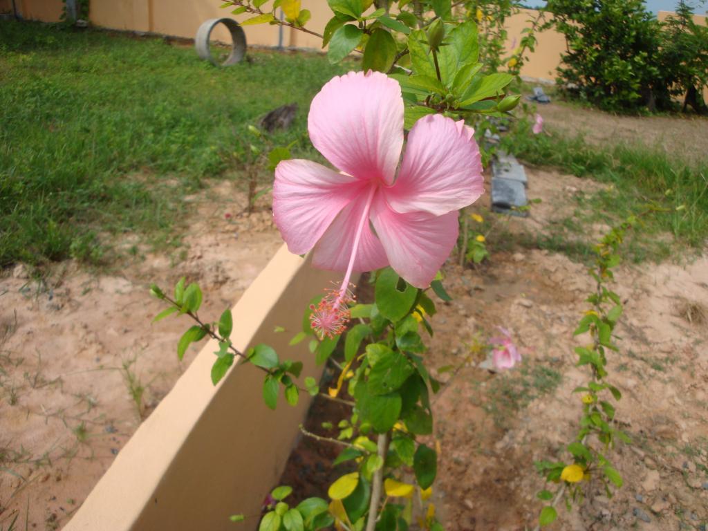 DSC05410.jpg