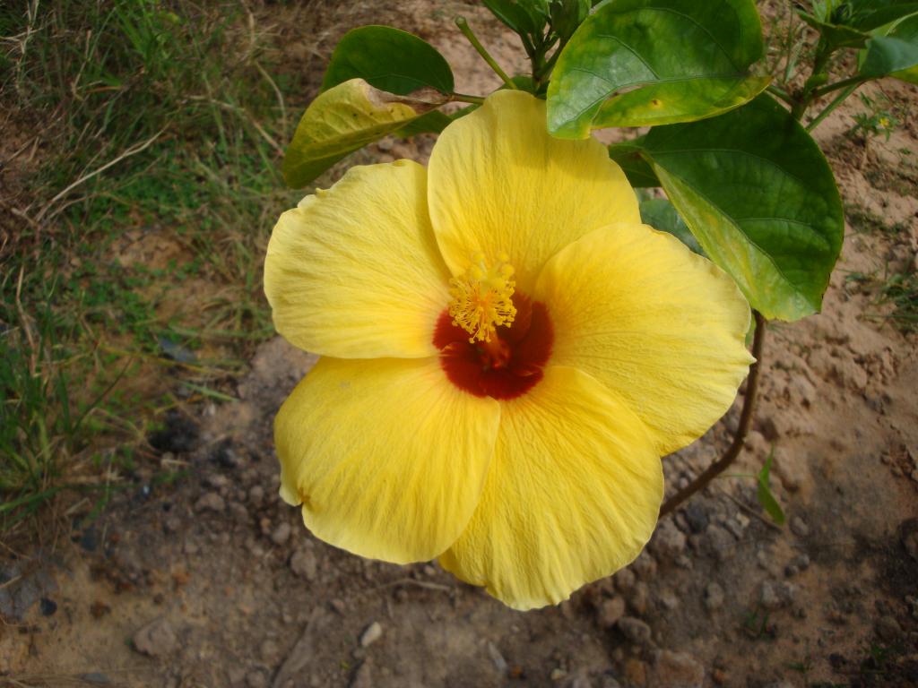 DSC05411.jpg