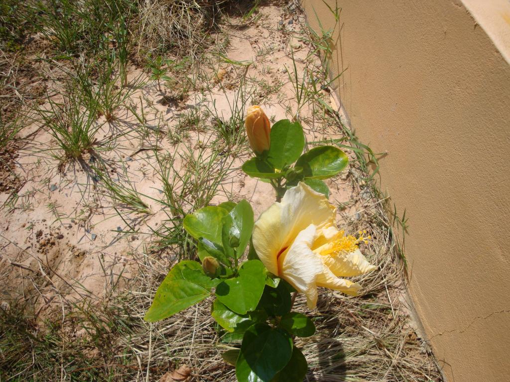 DSC05428.jpg