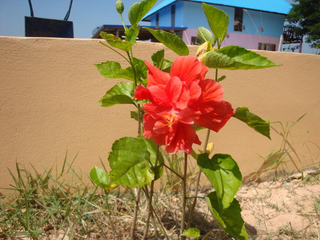 DSC05429.jpg