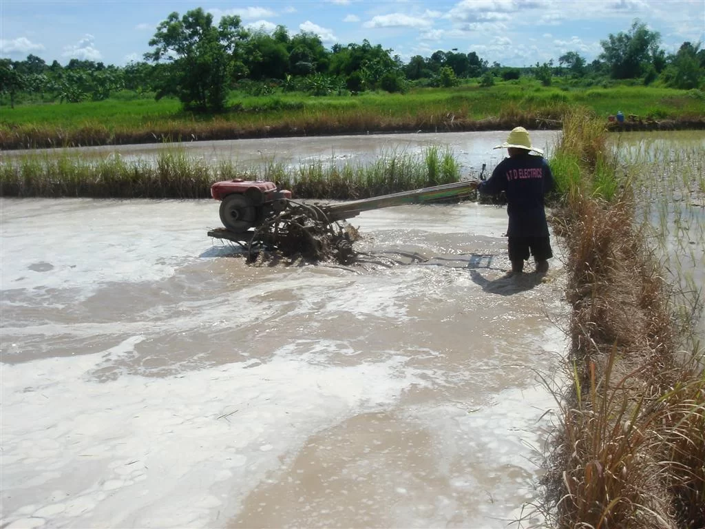 DSC06039 (Large).webp