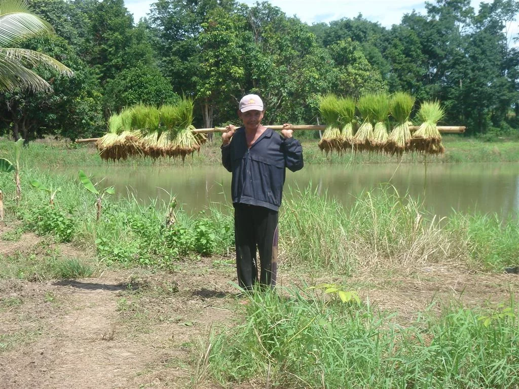 DSC06042 (Large).webp