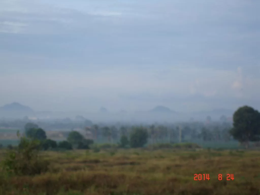 DSC06183.webp