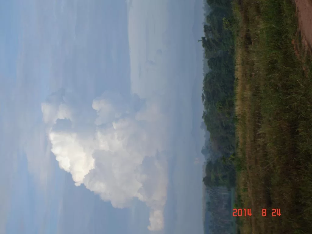 DSC06184.webp