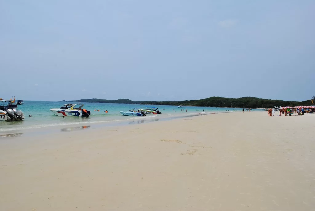 DSC_0062.webp