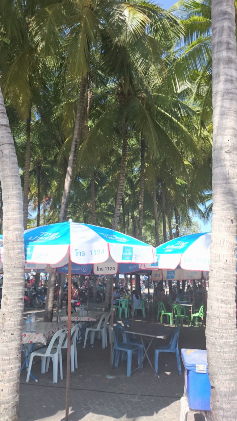 DSC_0096.JPG