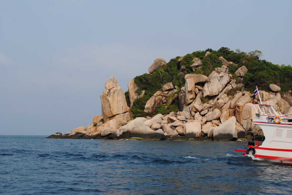 DSC_0134.JPG