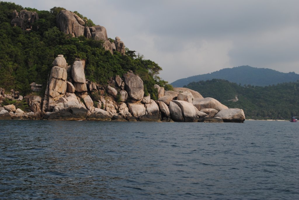 DSC_0135.JPG