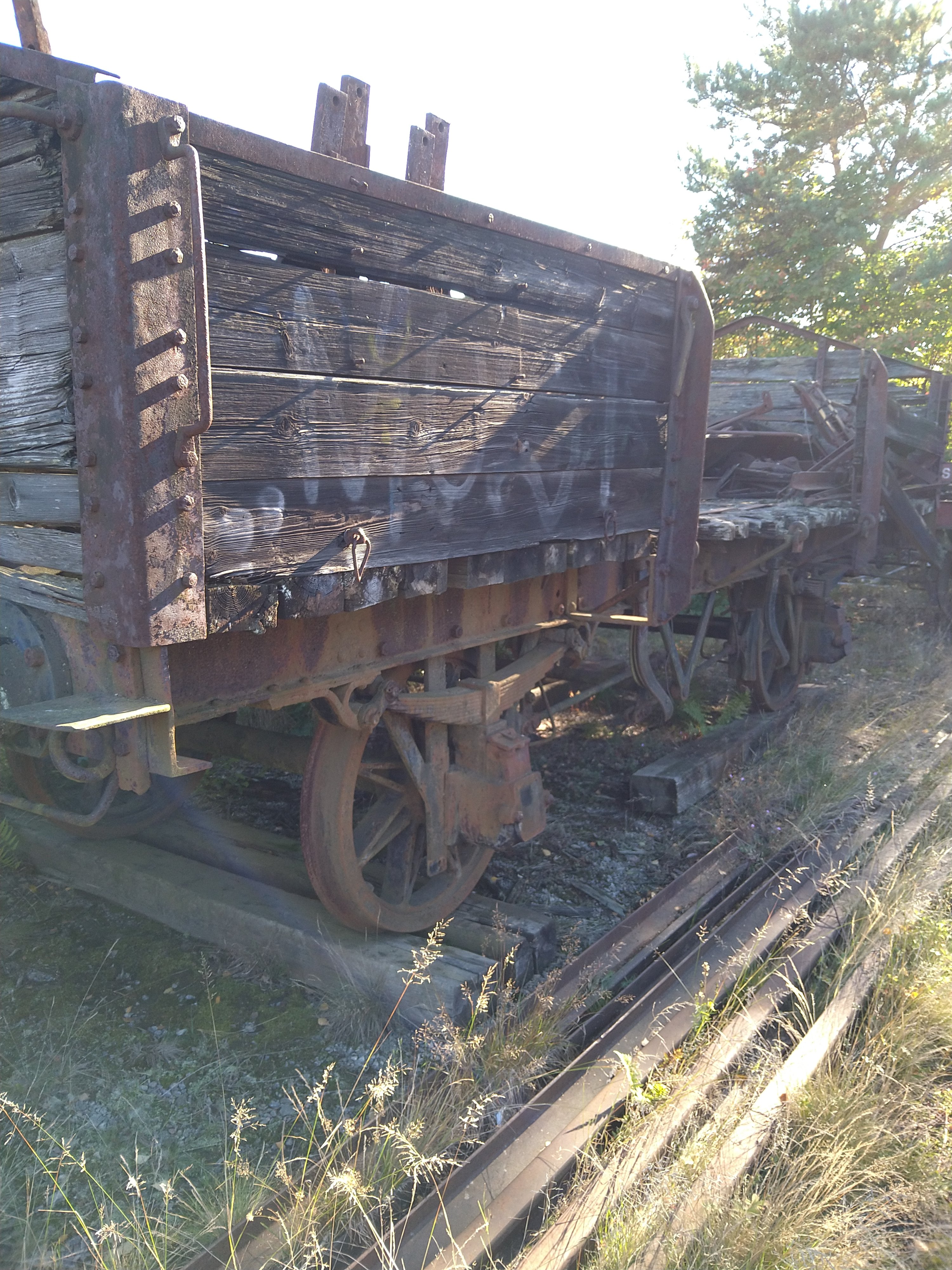 DSC_0159.JPG