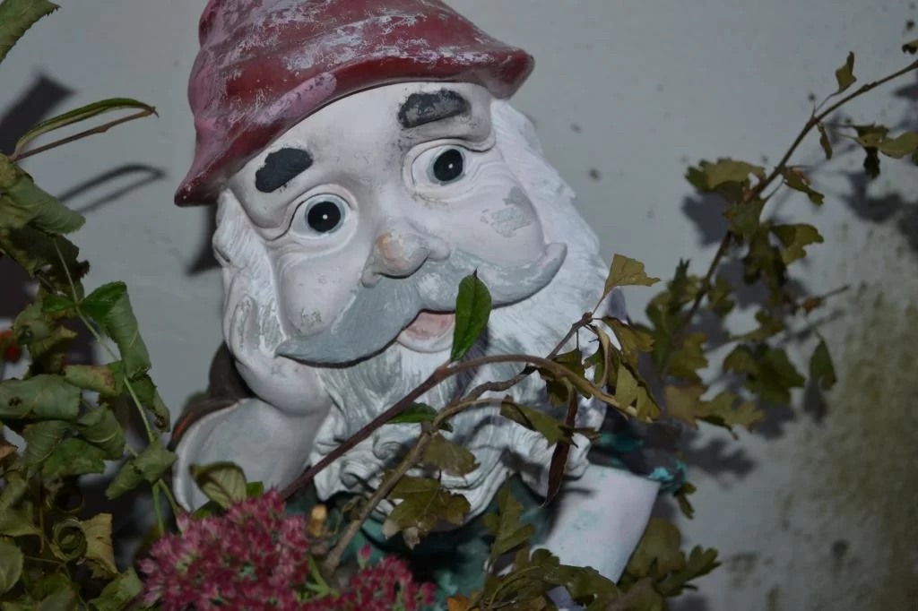 DSC_0168.webp