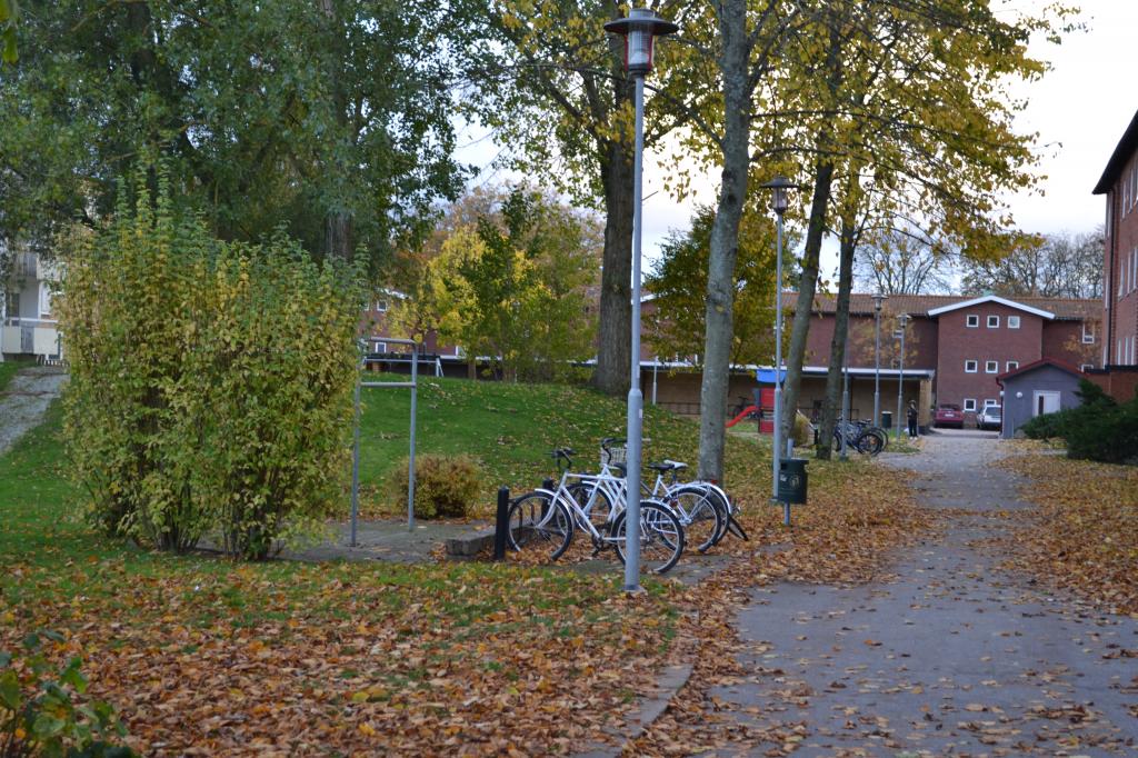 DSC_0182.jpg