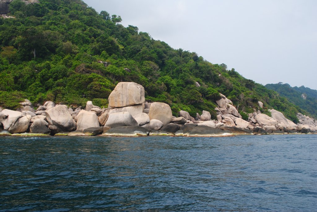 DSC_0197.JPG