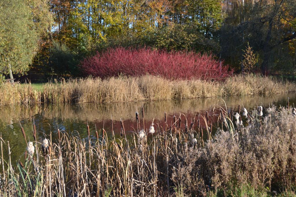 DSC_0199.jpg
