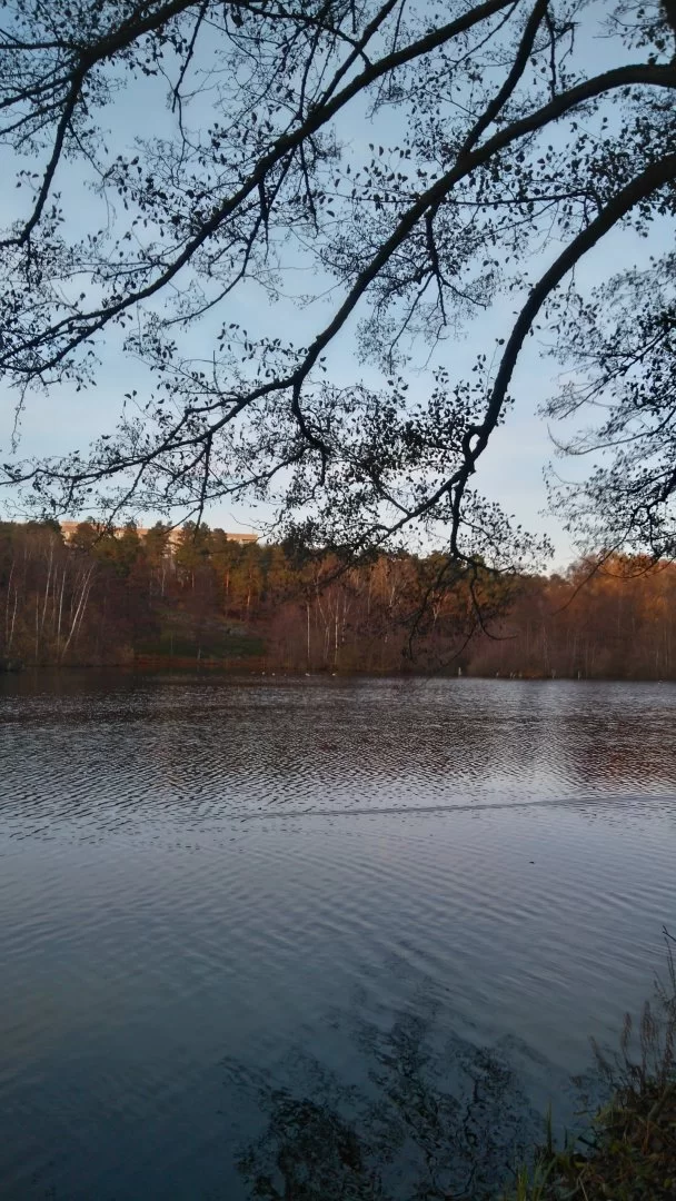 DSC_0218.JPG