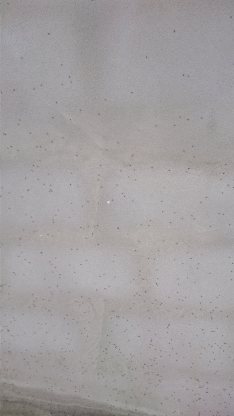 DSC_0225.JPG